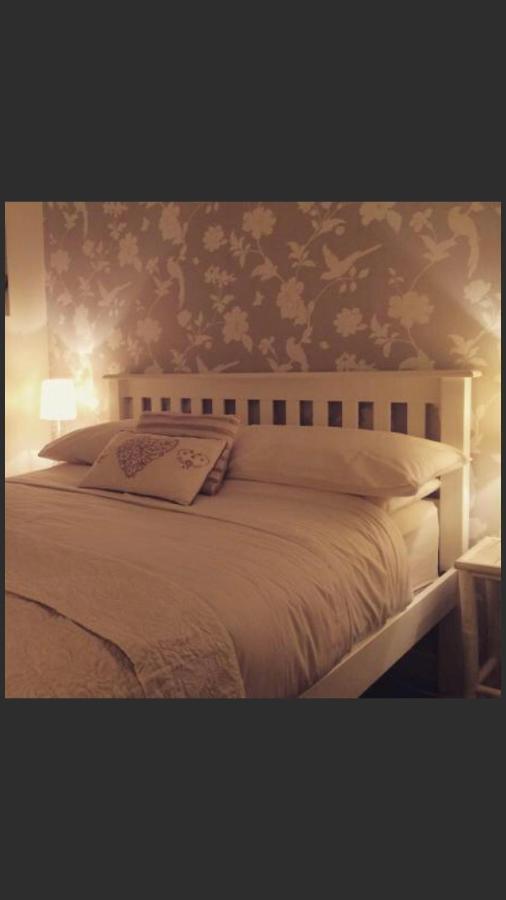 Ty Mawr Hotel Llanbedr  Extérieur photo